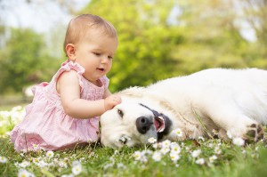 Psicoterapia infantil. Juegos con animales