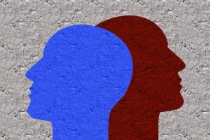 LA INTELIGENCIA EMOCIONAL